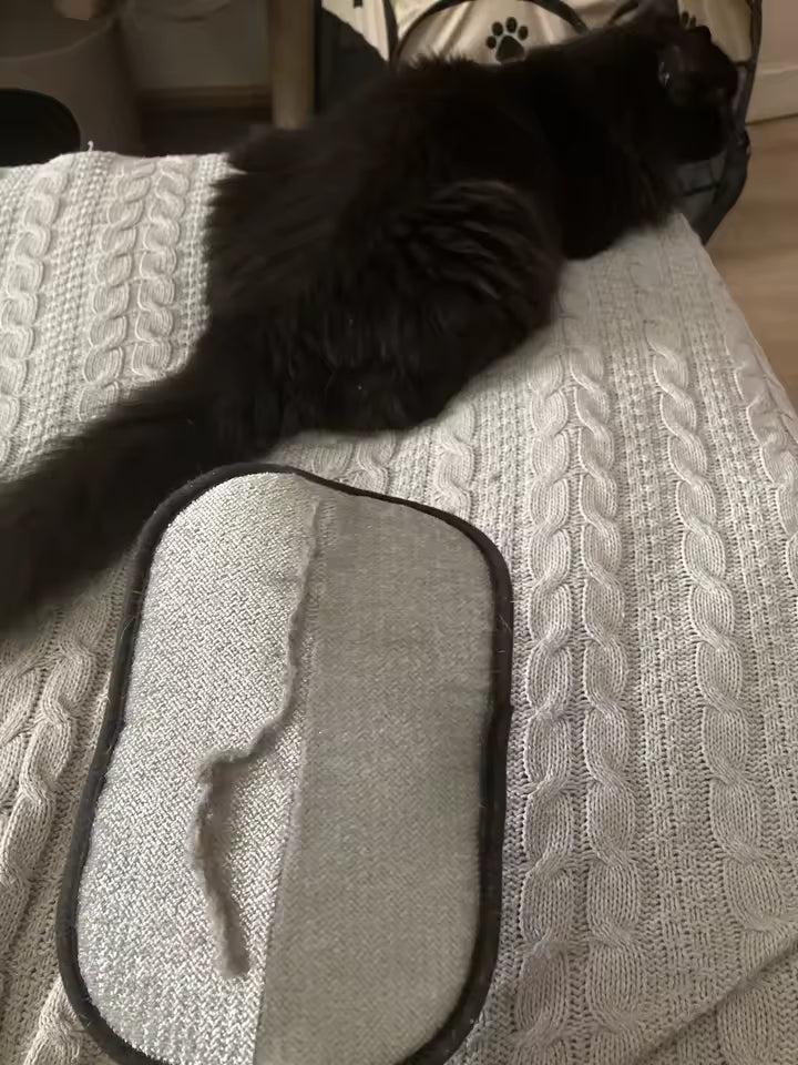 SnugPurr™ Static Hair Removal Glove
