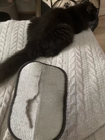 SnugPurr™ Static Hair Removal Glove